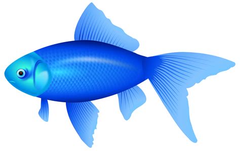 transparent fish|transparent fish graphic.